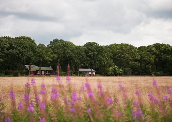 Vakantiehuis met uitzicht over het veld vanaf de weg, ideaal voor een rustige vakantie in de natuur.